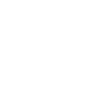 Logo_BOHO_EXPERIENCE_IbizaTulum